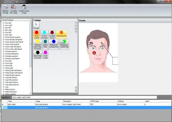 Picasso EHR Software EHR and Practice Management Software