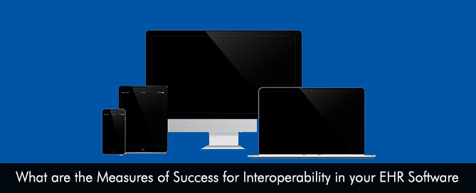 What are the Measures of Success for Interoperability in your EHR Software