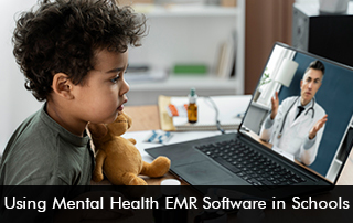 Using-Mental-Health-EMR-Software-in-Schools