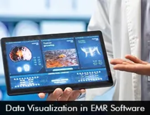 Data Visualization in EMR Software
