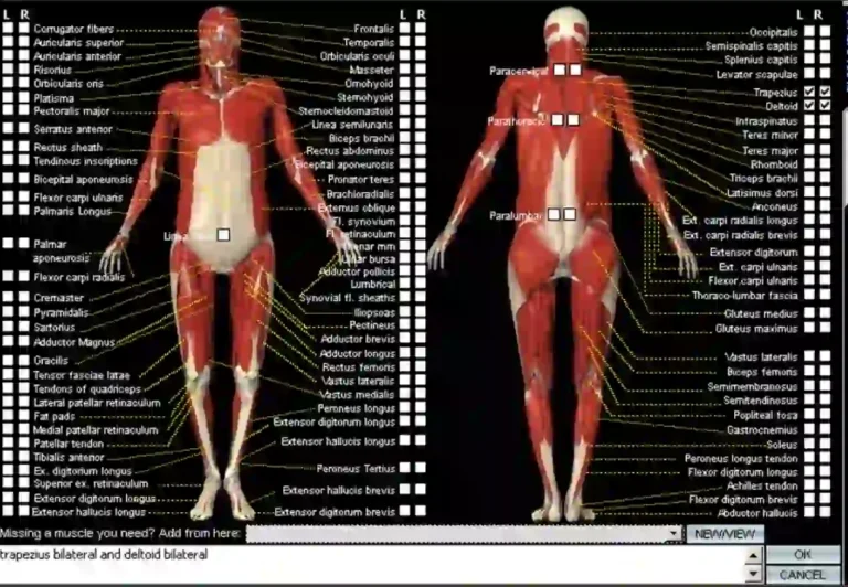 Rapid EHR Practice Management Software Physical Exam
