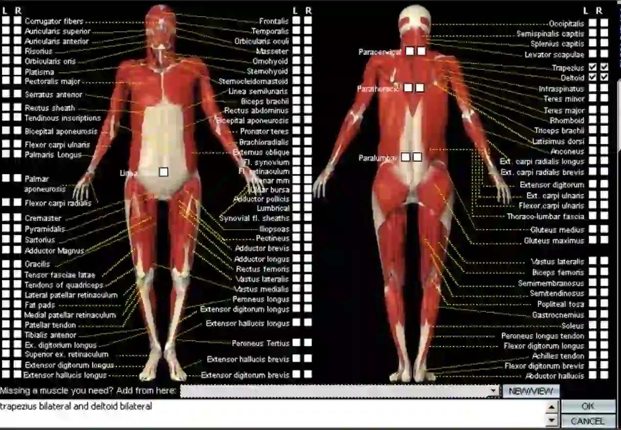 Rapid EHR Software EHR and Practice Management Software