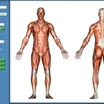 ChiroTouch EMR Software EHR and Practice Management Software