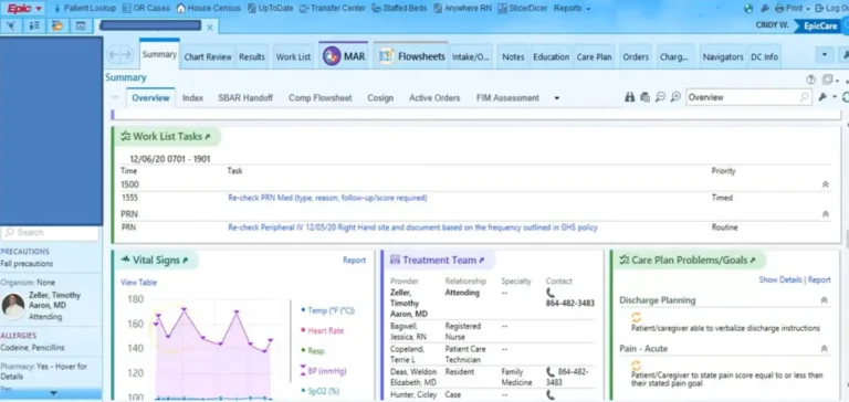 Epic EMR Practice Management Software Patient Summary