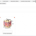 OneTouch EMR Software EHR and Practice Management Software
