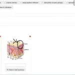OneTouch EMR Software EHR and Practice Management Software