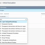 WebPT EMR Software EHR and Practice Management Software