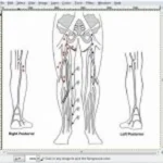 SonoSoft EMR Software EHR and Practice Management Software
