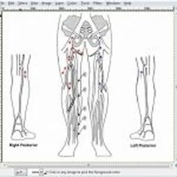 SonoSoft EMR Software EHR and Practice Management Software
