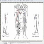 SonoSoft EMR Software EHR and Practice Management Software