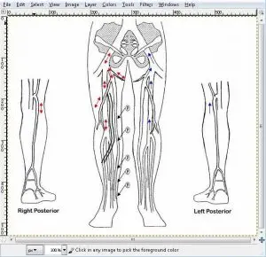 SonoSoft EMR Software EHR and Practice Management Software