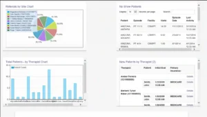 APTA Connect EMR Software displaying the performance dashboard.