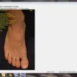 DOX Podiatry EMR Software EHR and Practice Management Software