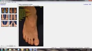 DOX Podiatry EMR Software EHR and Practice Management Software