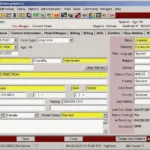 Netsmart Insight EHR Software EHR and Practice Management Software