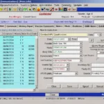 Netsmart Insight EHR Software EHR and Practice Management Software