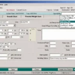 Netsmart Insight EHR Software EHR and Practice Management Software