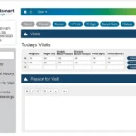 Netsmart myInsight EHR Software EHR and Practice Management Software