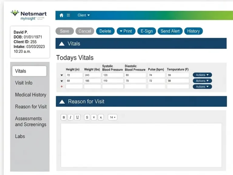 Netsmart-myInsight-EHR-Software