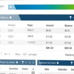 Netsmart myInsight EHR Software EHR and Practice Management Software