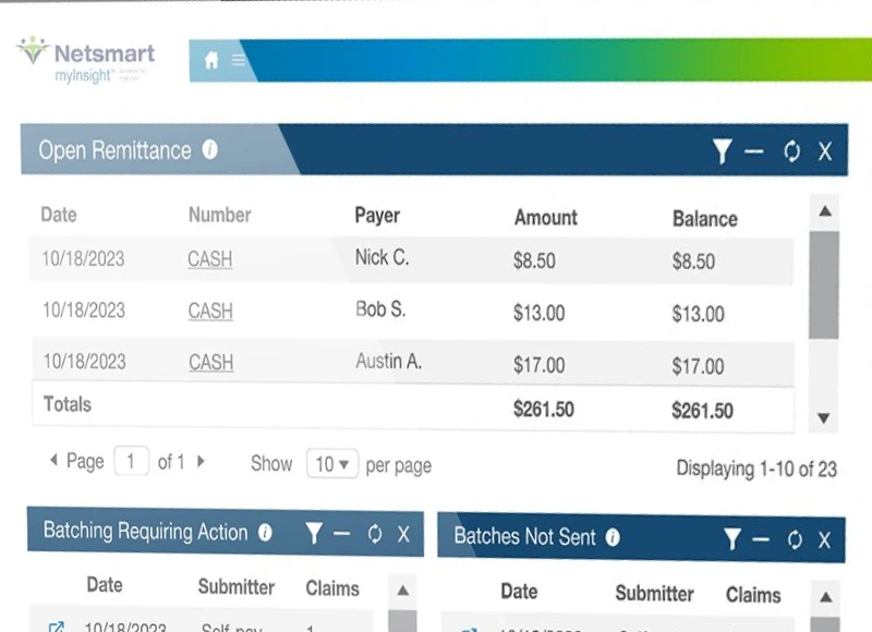 Netsmart myInsight EHR Software EHR and Practice Management Software