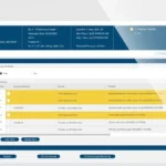 Netsmart myInsight EHR Software EHR and Practice Management Software