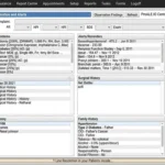 eHealth Files EHR Software EHR and Practice Management Software