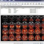 eMedRec EMR Software EHR and Practice Management Software