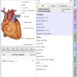 Phymedica EMR Software EHR and Practice Management Software
