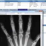 ReLi Med EMR Software EHR and Practice Management Software