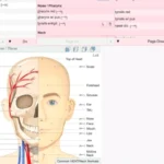 Phymedica EMR Software EHR and Practice Management Software