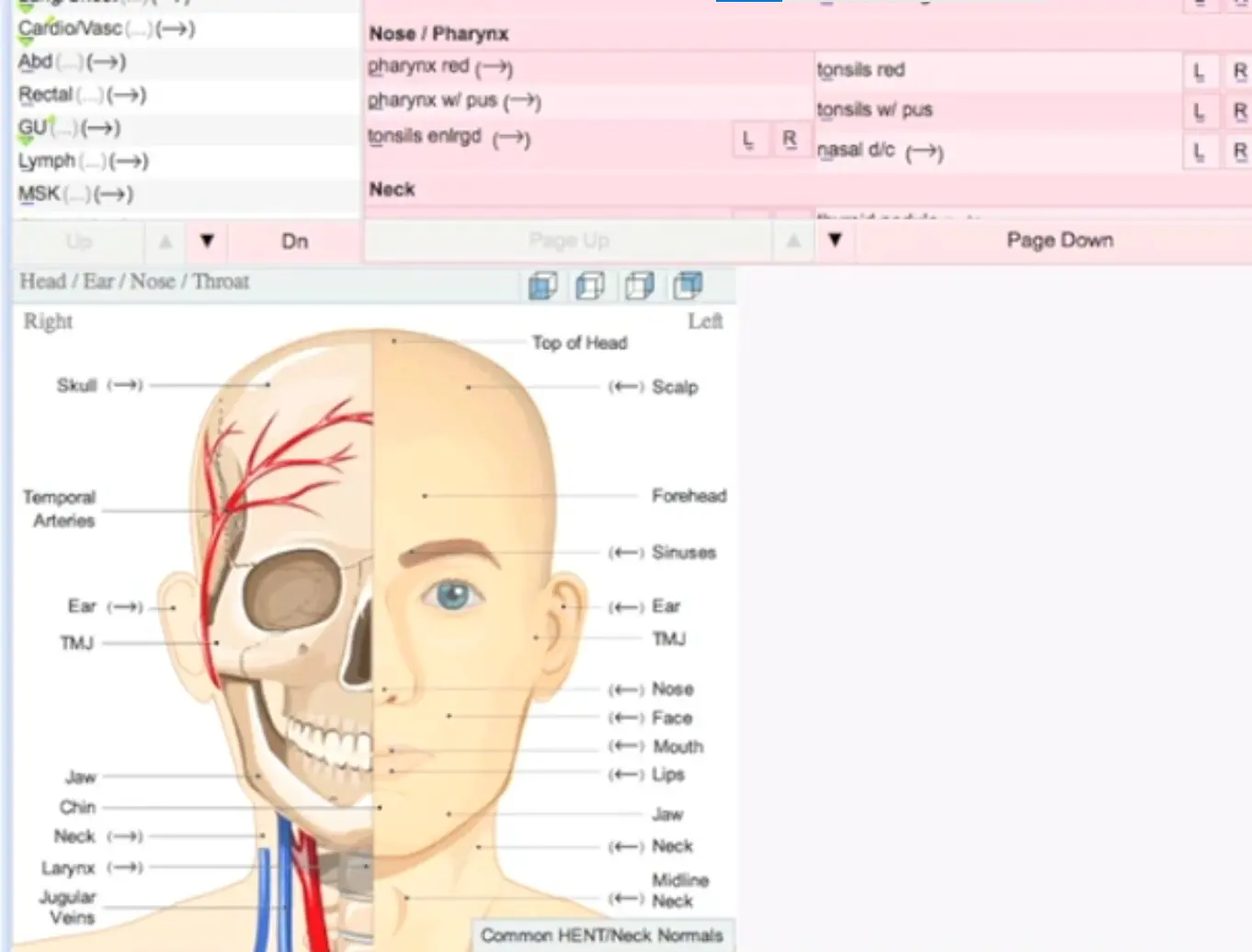 Phymedica EMR Software EHR and Practice Management Software