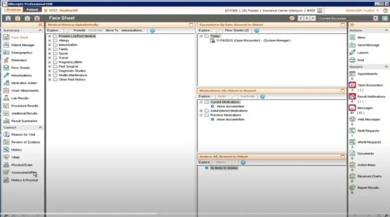 Allscripts-Professional-EHR-Software-Summary-Face-Sheet-Demo