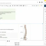 Genesis Chiropractic EMR Software EHR and Practice Management Software