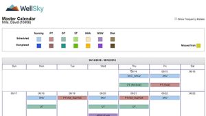 WellSky Electronic Medical Records Software Video Demo Thumbnail