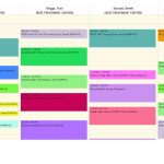 Azzly Rize Behavioral & Addiction EMR Software EHR and Practice Management Software