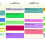 Azzly Rize Behavioral & Addiction EMR Software EHR and Practice Management Software