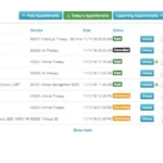 TheraNest EMR Software EHR and Practice Management Software