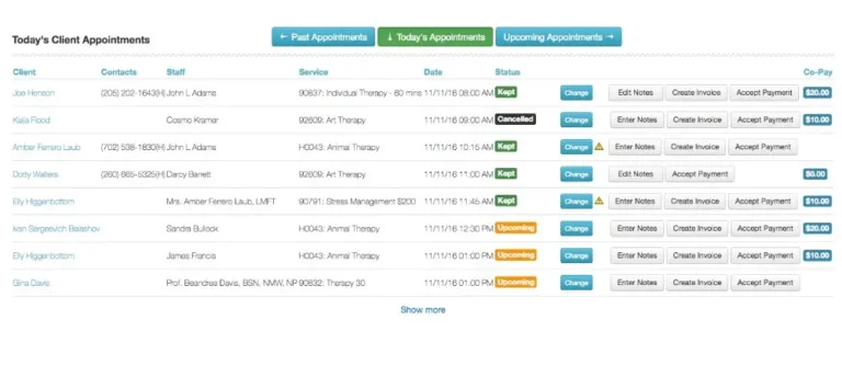 TheraNest EMR Software - Mental Health EMR Software