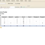 ClinicSource EMR Software EHR and Practice Management Software