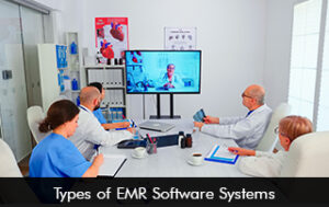 Types of EMR Software Systems