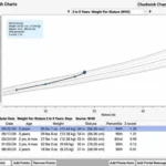 PCC Pediatric EHR Solutions EHR and Practice Management Software