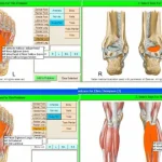 SammyEHR Software by ICS Software Ltd. EHR and Practice Management Software