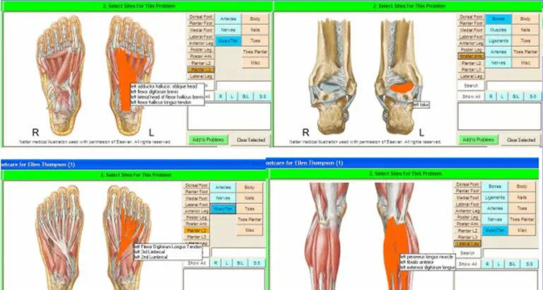 SammyEHR-Electronic-Medical-Records-And-Practice-Management-Softwar-Patient-Board.