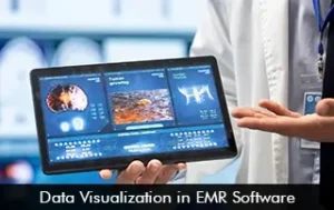 Data Visualization in EMR Software