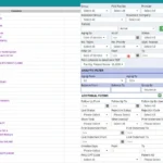 Sightview EMR Software EHR and Practice Management Software